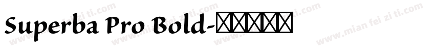 Superba Pro Bold字体转换
